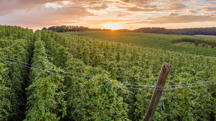 Bild: Wolfgang Hauke / stock.adobe.com