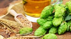 Bild: stock.adobe.com /Printemps