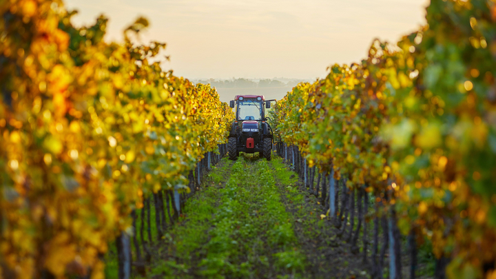 (Bild: Rostislav Sedlacek / stock.adobe.com)